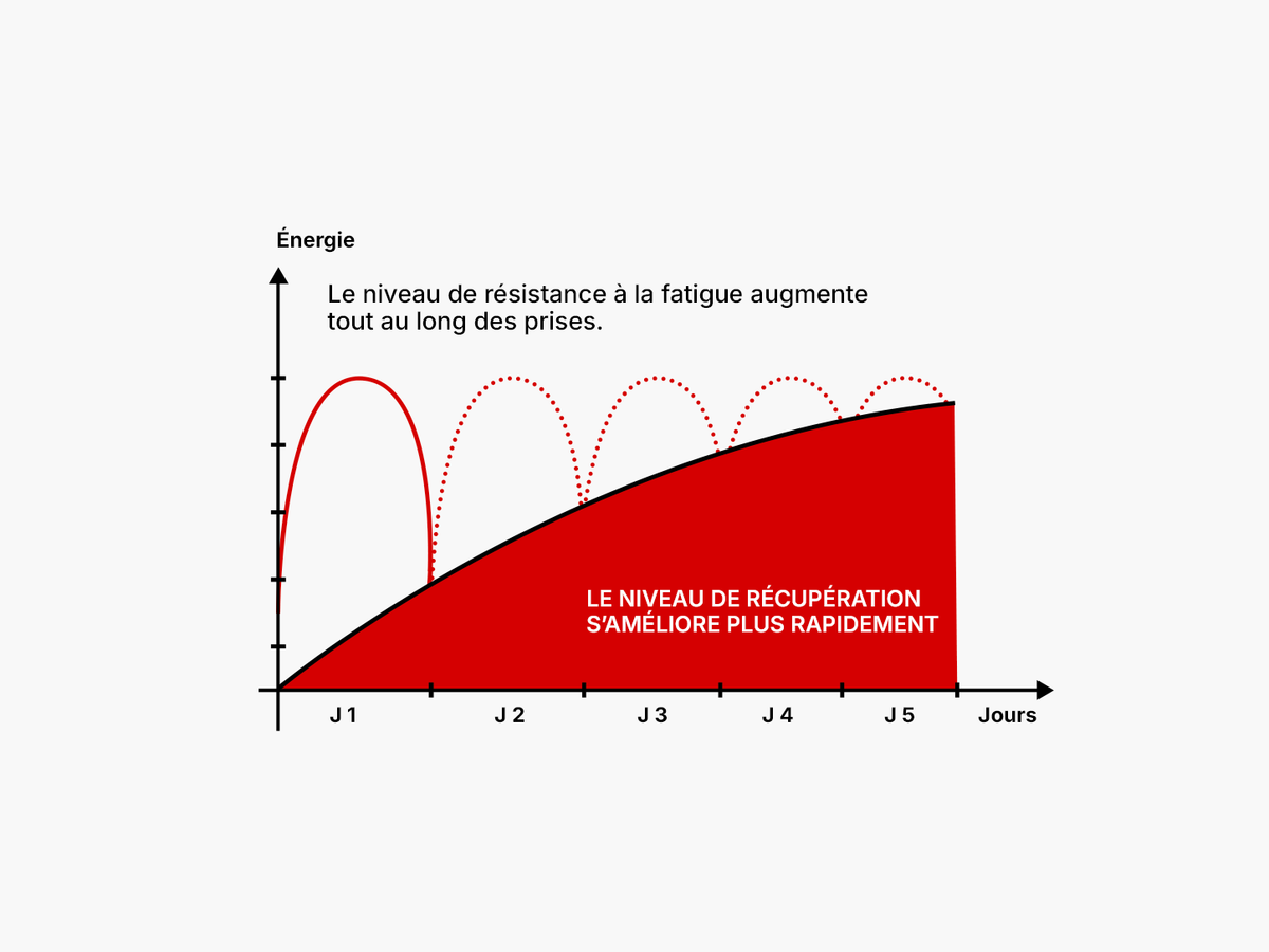 Agit sur la fatigue et la baisse de tonus